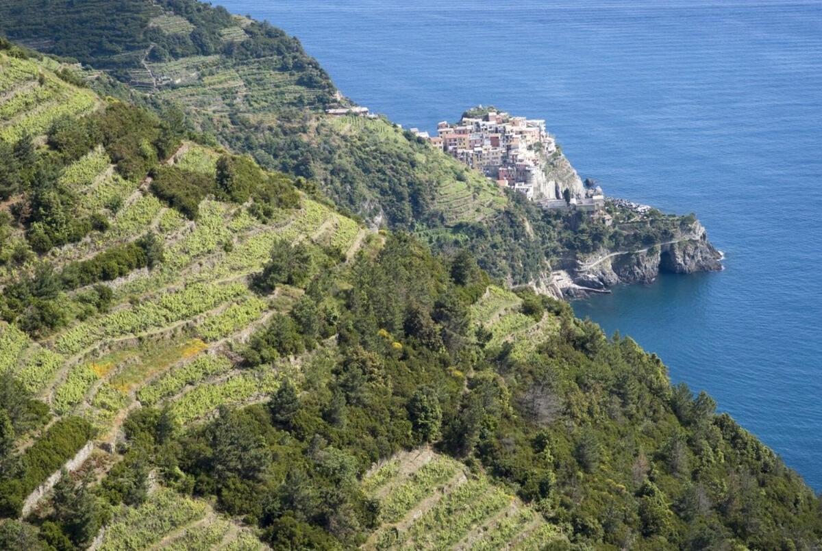 La Casa Fra Gli Ulivi Luxury Apartments With Pool Near Cinque Terre And Tuscany Monte Marcello Exterior foto